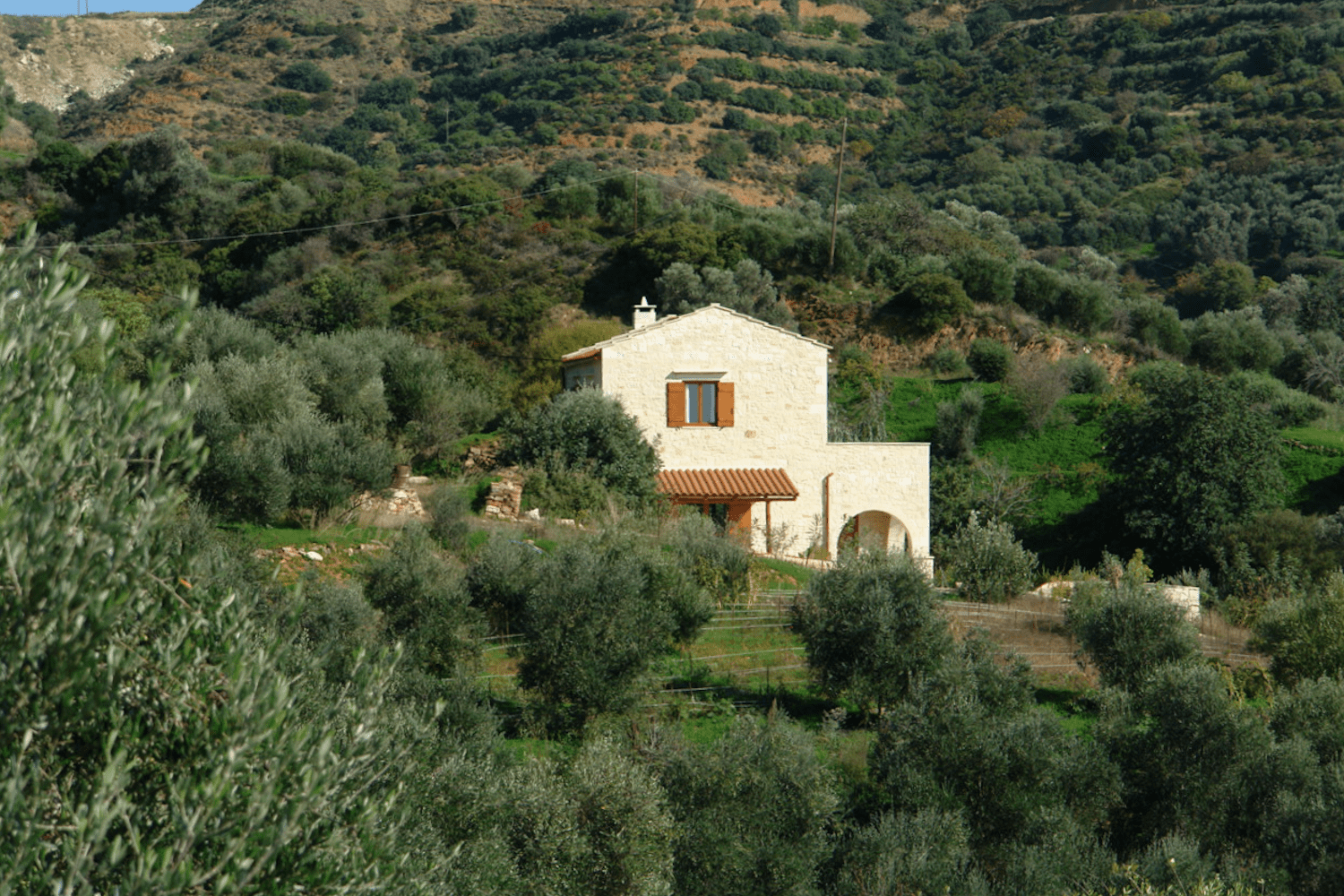 Villa Talea, amids olive groves and vineyards