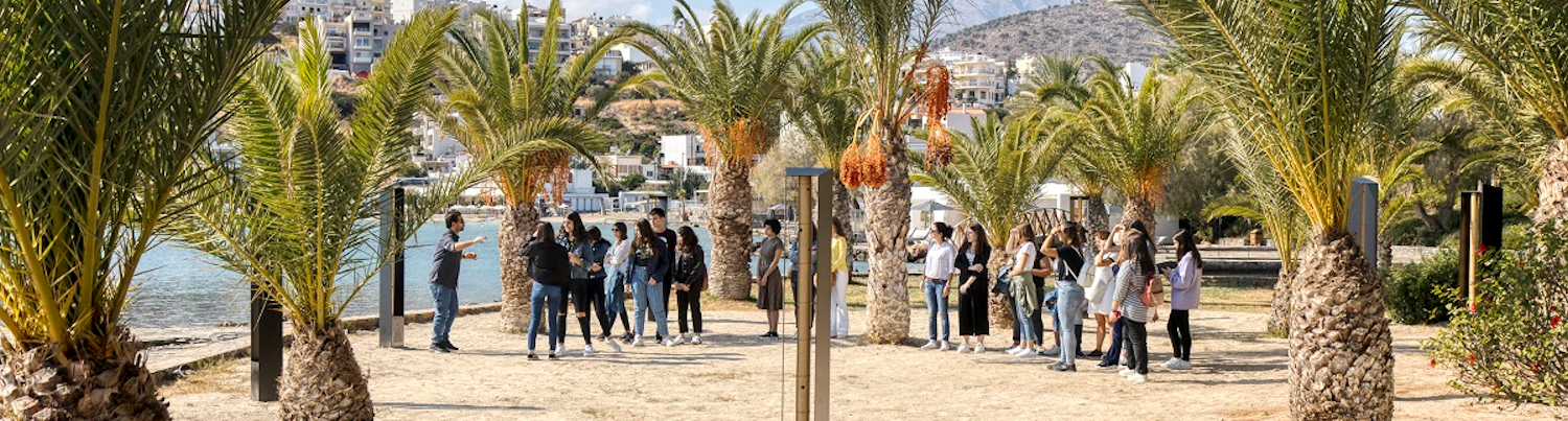 People gathering under palm trees at the beachfront in Rethymnon