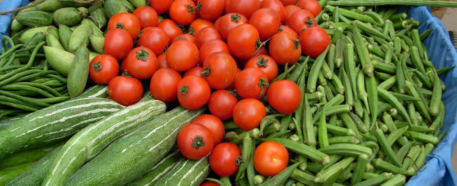 Photo of various vegetables